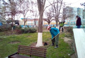 ایجاد تشتک درختان، درختچه ها و دفع علف های هرز ژونی پروس در سطح پارکهای منطقه ۱