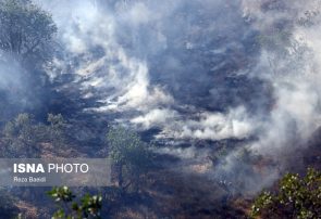 خطر آتش‌سوزی بیخ گوش جنگل‌ها و مراتع کشور