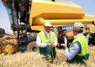 تسهیلات خرید توافقی نهاده‌های دامی در سامانه بازارگاه ارائه می‌شود/ رشد ۱۰ درصدی تولید گندم در استان کرمانشاه￼