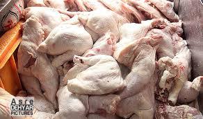 آغاز صادرات مرغ و جوجه یک روزه بعداز ۶سال به عراق