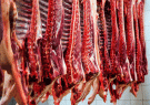 خرید ۱۶۰ تن گوشت قرمز در طرح خرید تضمینی دام مازاد در استان مرکزی