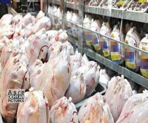 ابلاغ توزیع کشوری ذخایر مرغ منجمد در بازار